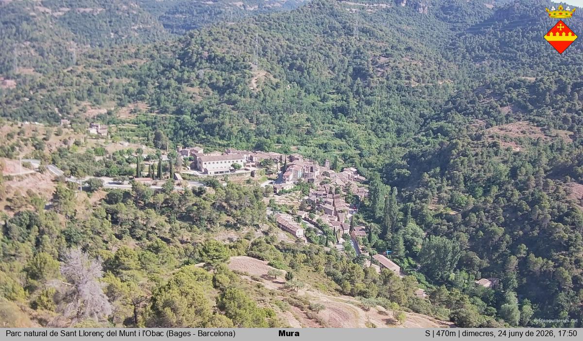 Mura 