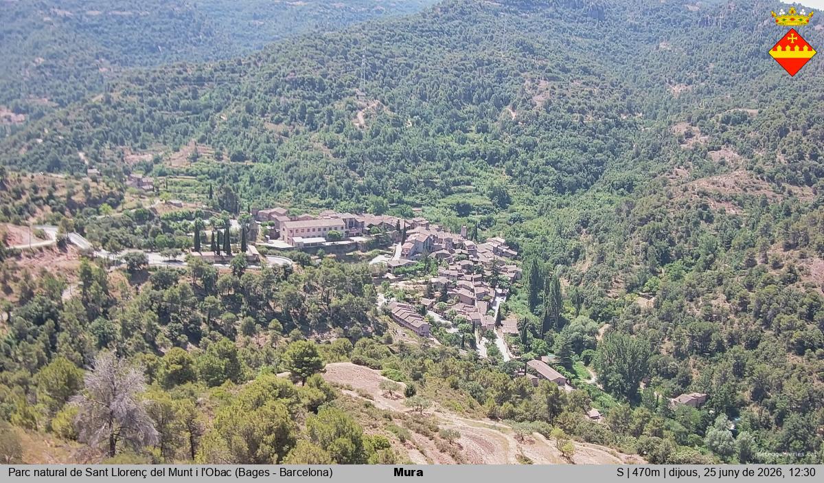Mura 