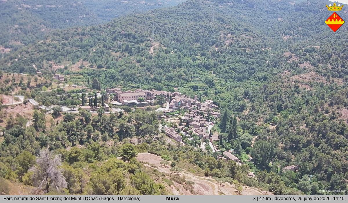 Mura 