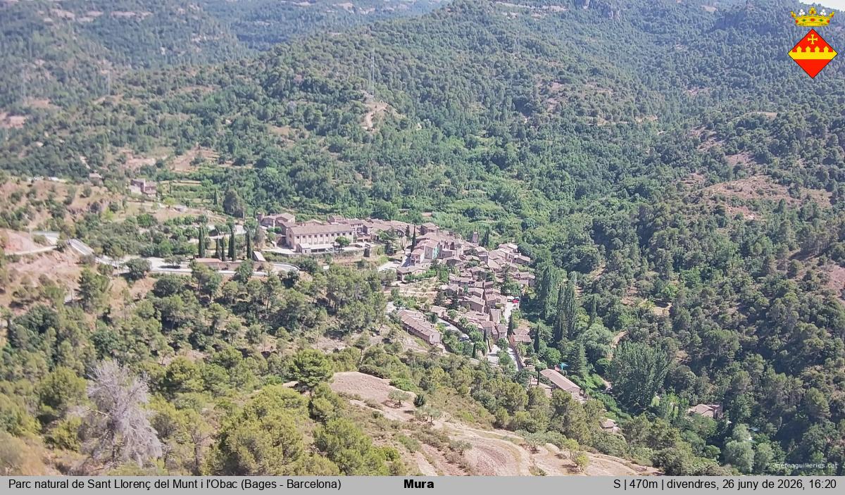Mura 
