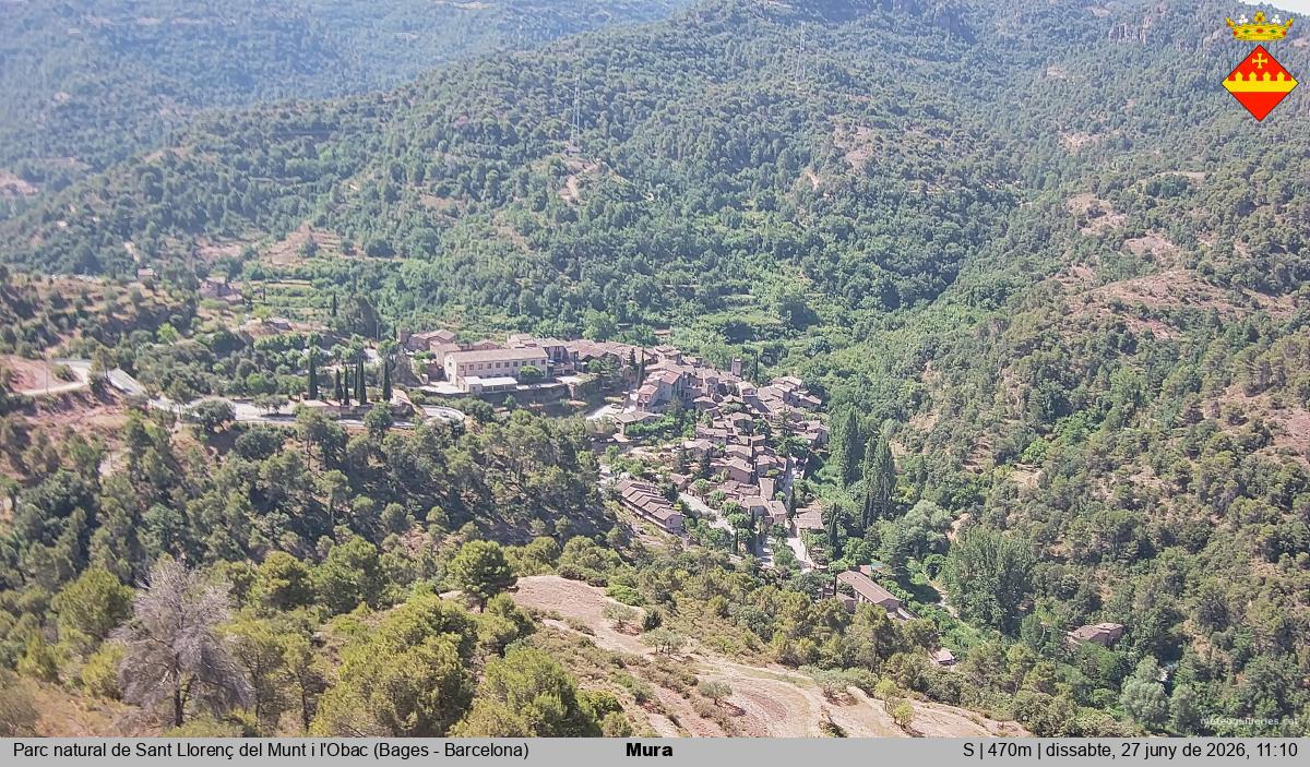 Mura 