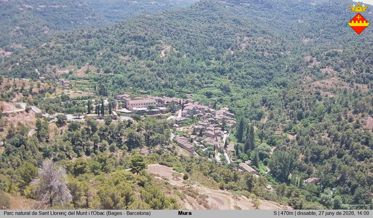 Mura 