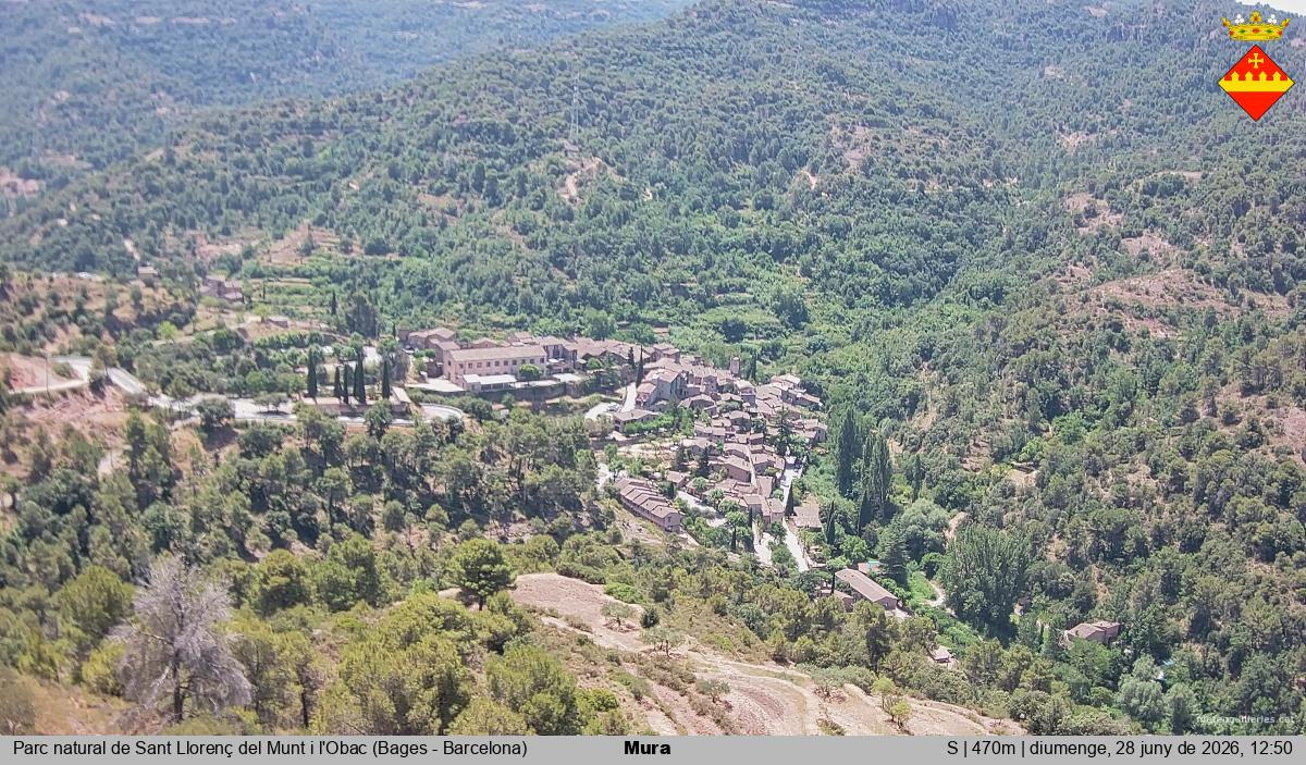 Mura 
