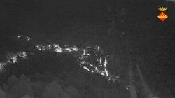 Webcams