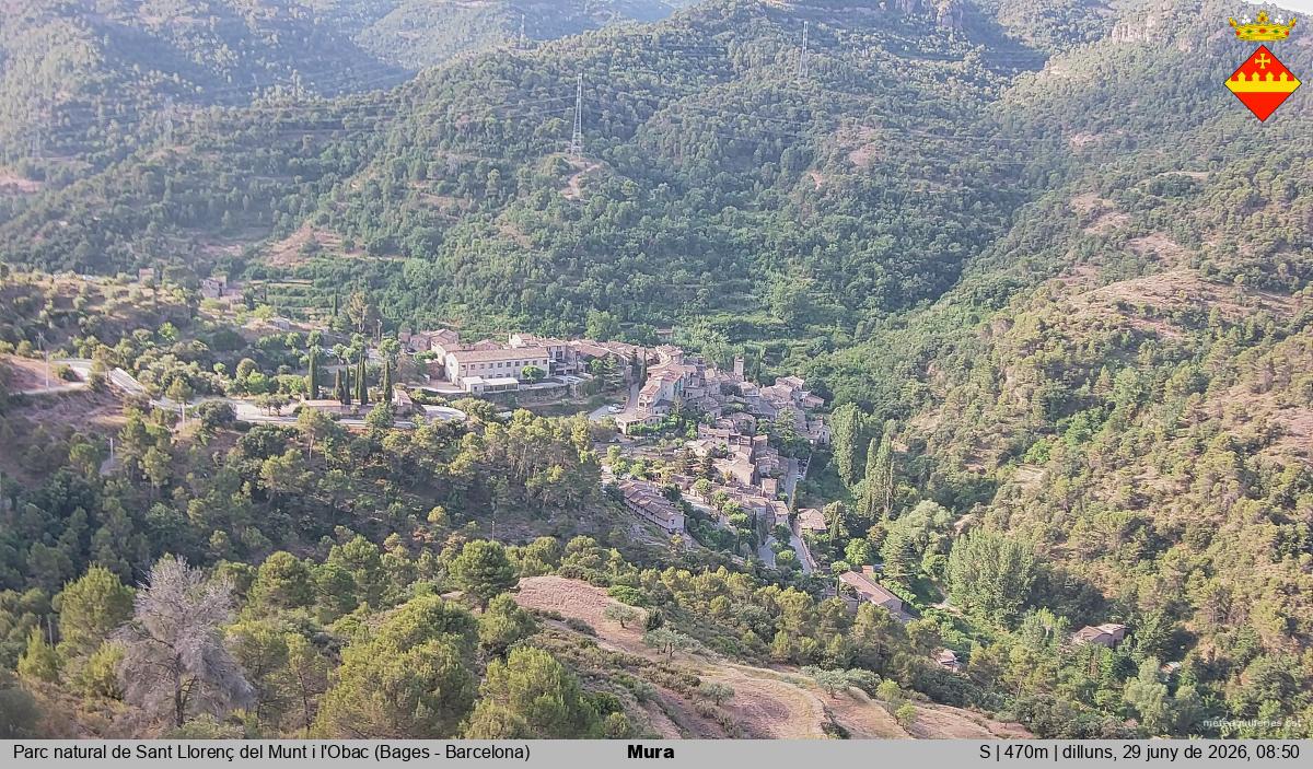 Mura 