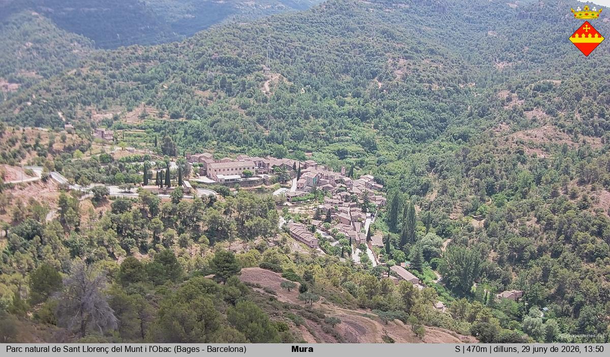 Mura 