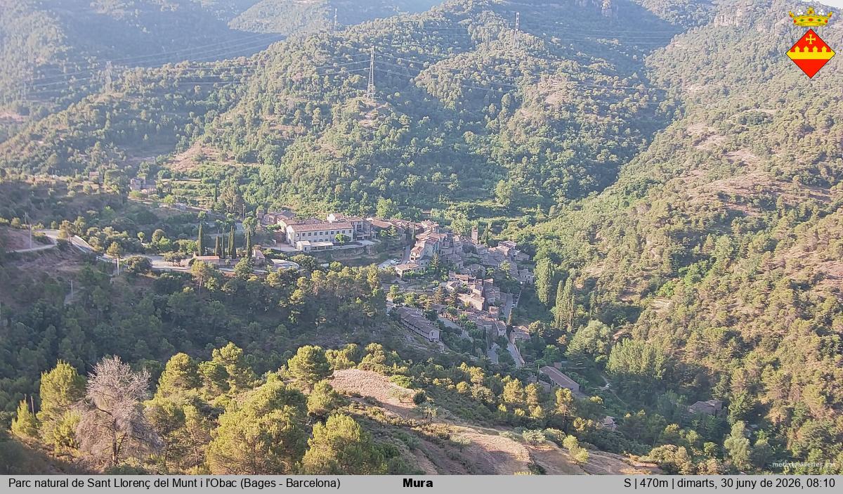 Mura 