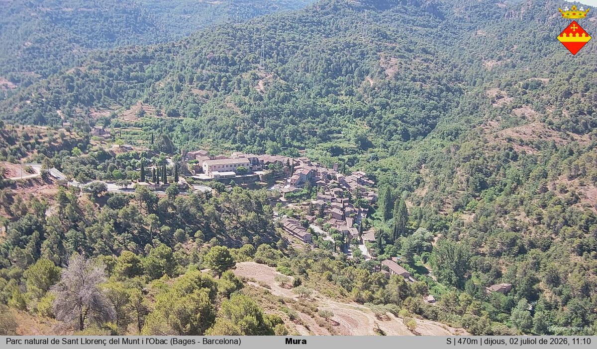 Mura 