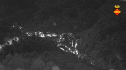 Webcams