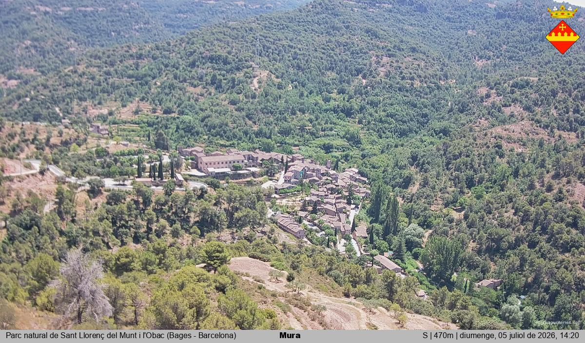 Mura 
