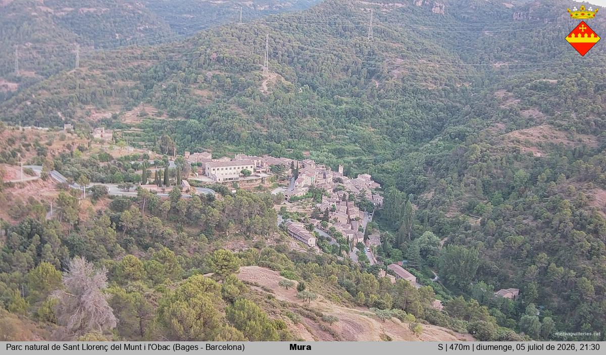 Mura 