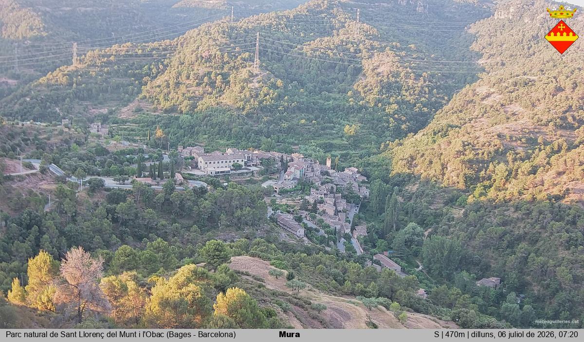 Mura 