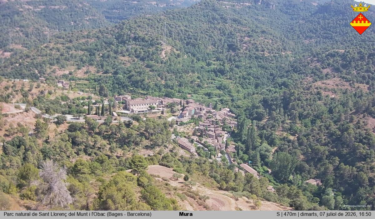 Mura 