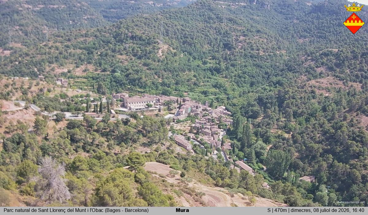 Mura 