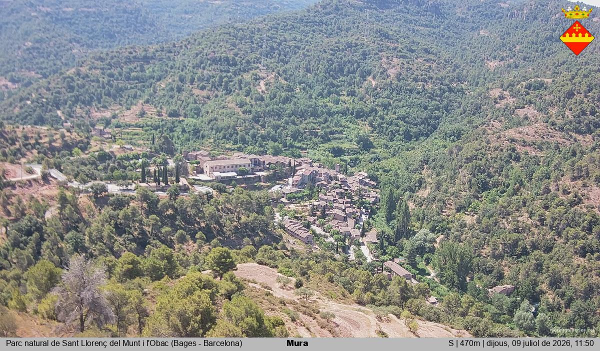 Mura 
