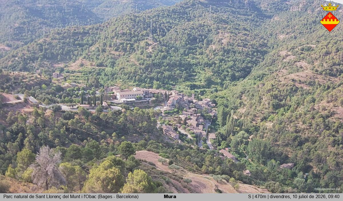 Mura 