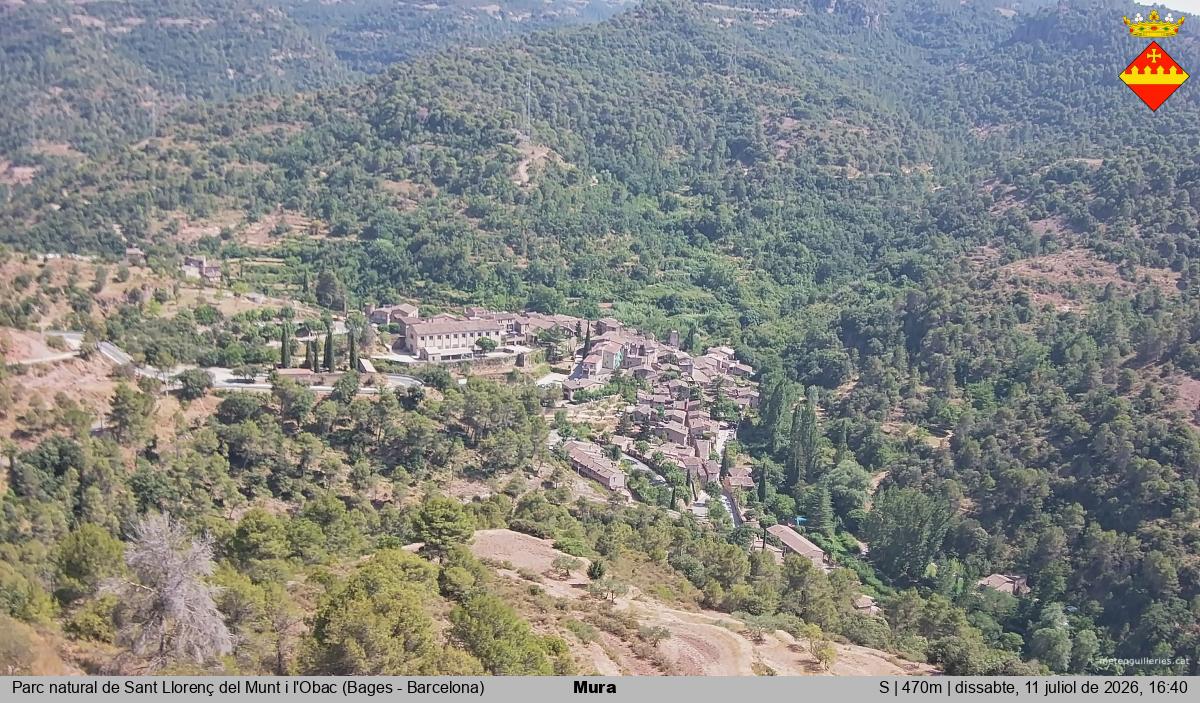 Mura 