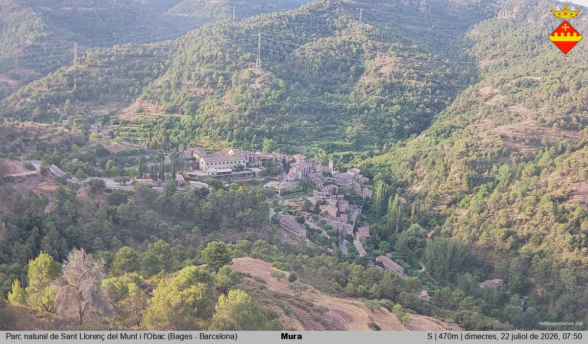 Mura 