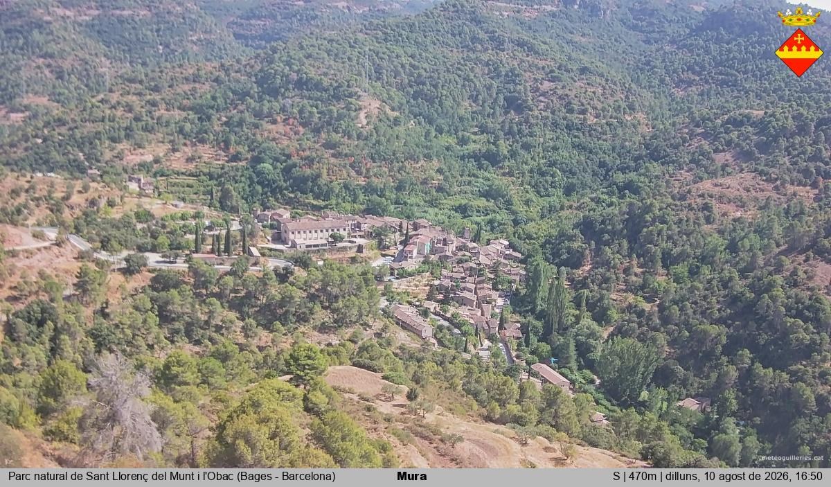 Mura 