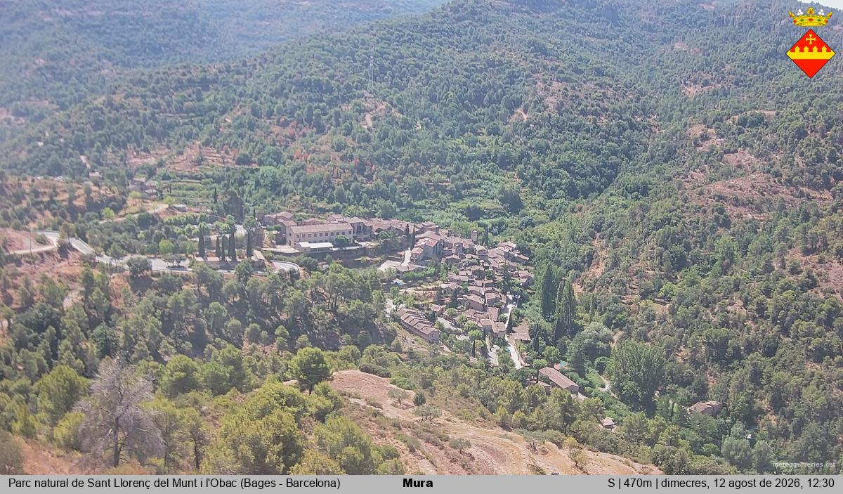 Mura 