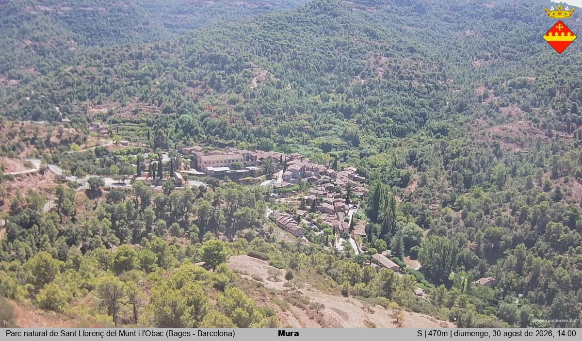 Mura 