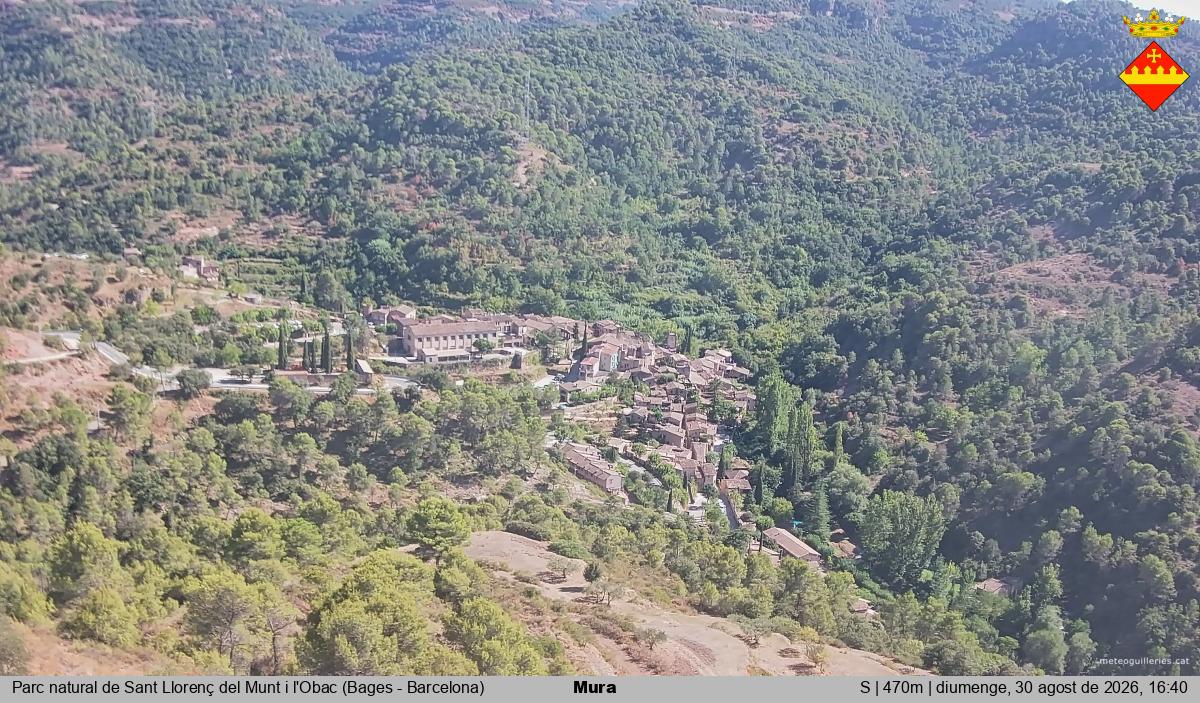 Mura 