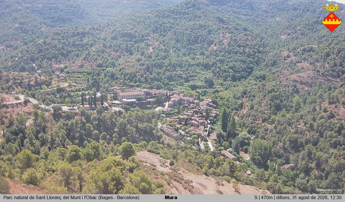 Mura 