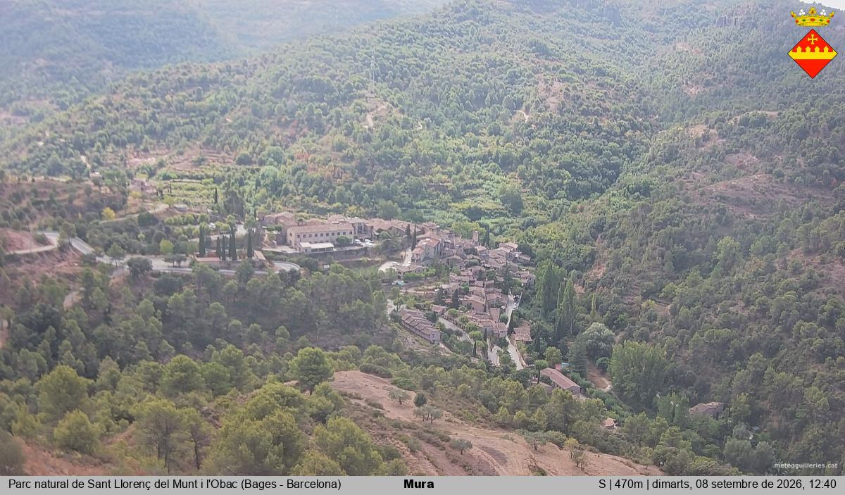 Mura 