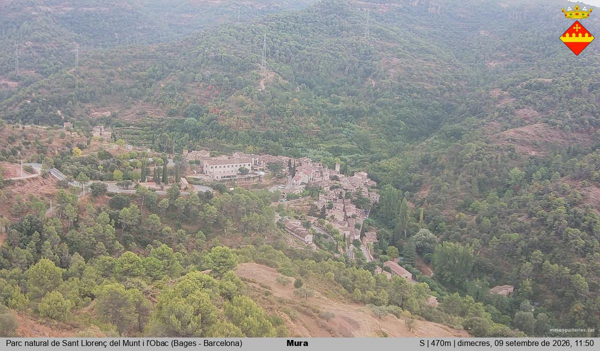 Mura 