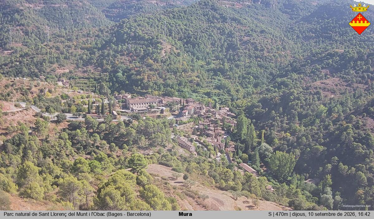 Mura 
