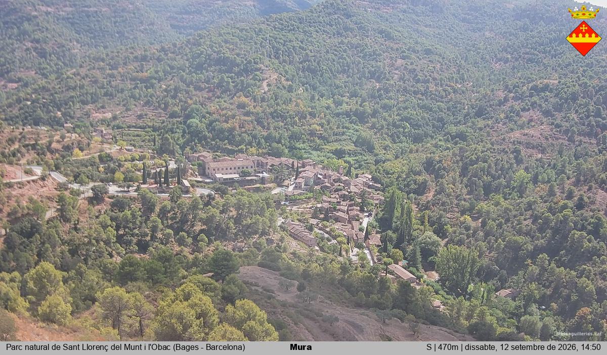 Mura 