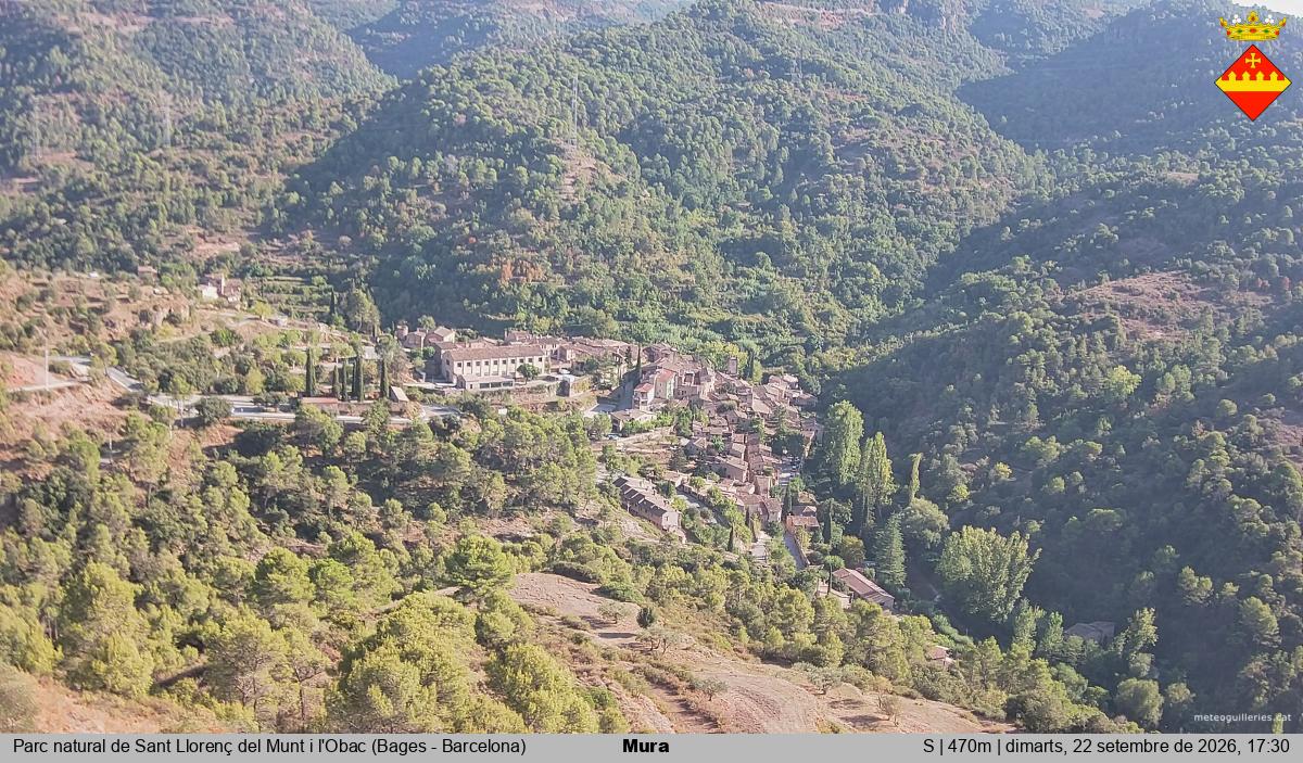 Mura 