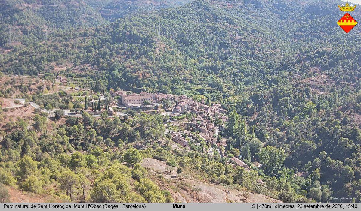 Mura 