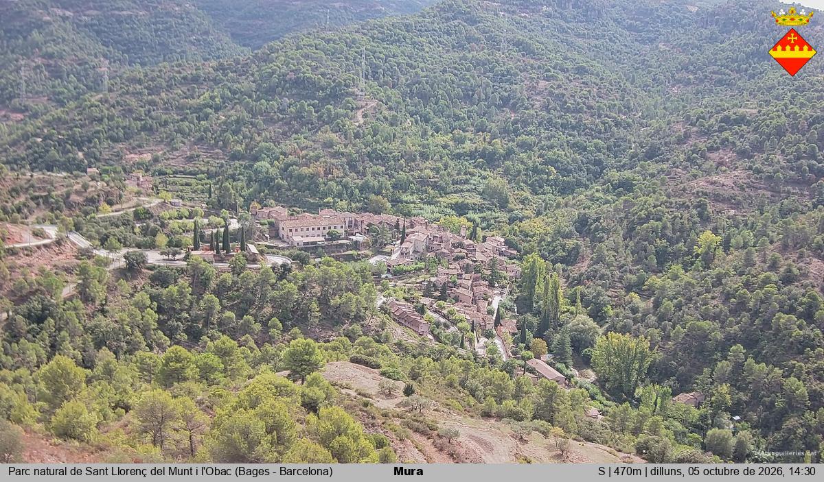 Mura 