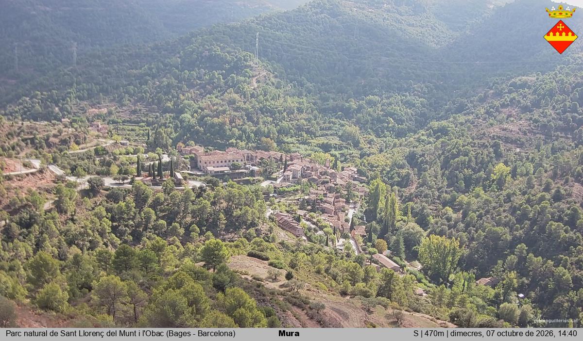 Mura 