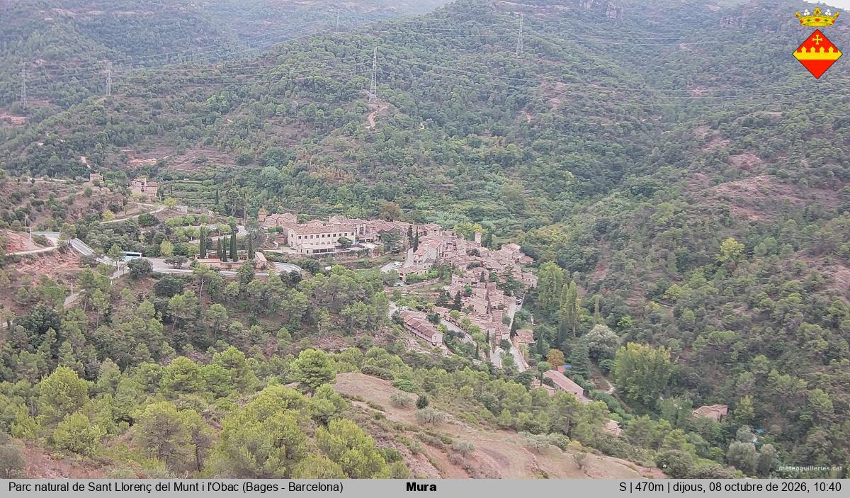 Mura 
