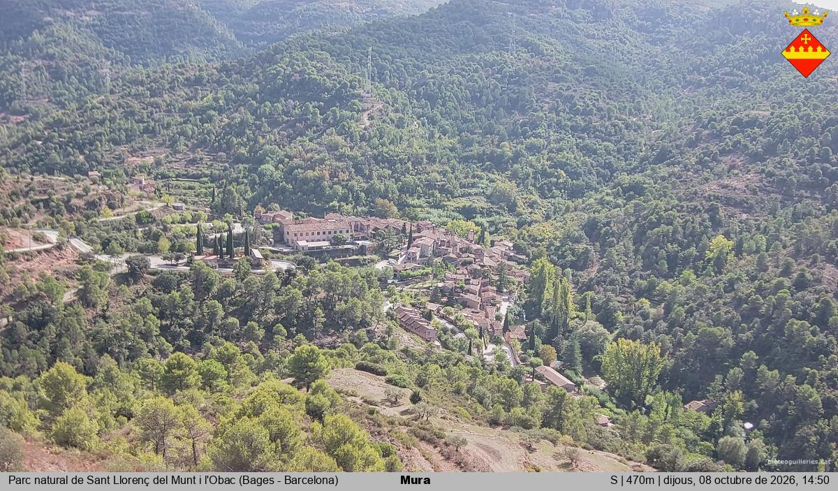 Mura 