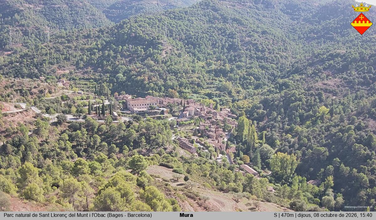 Mura 
