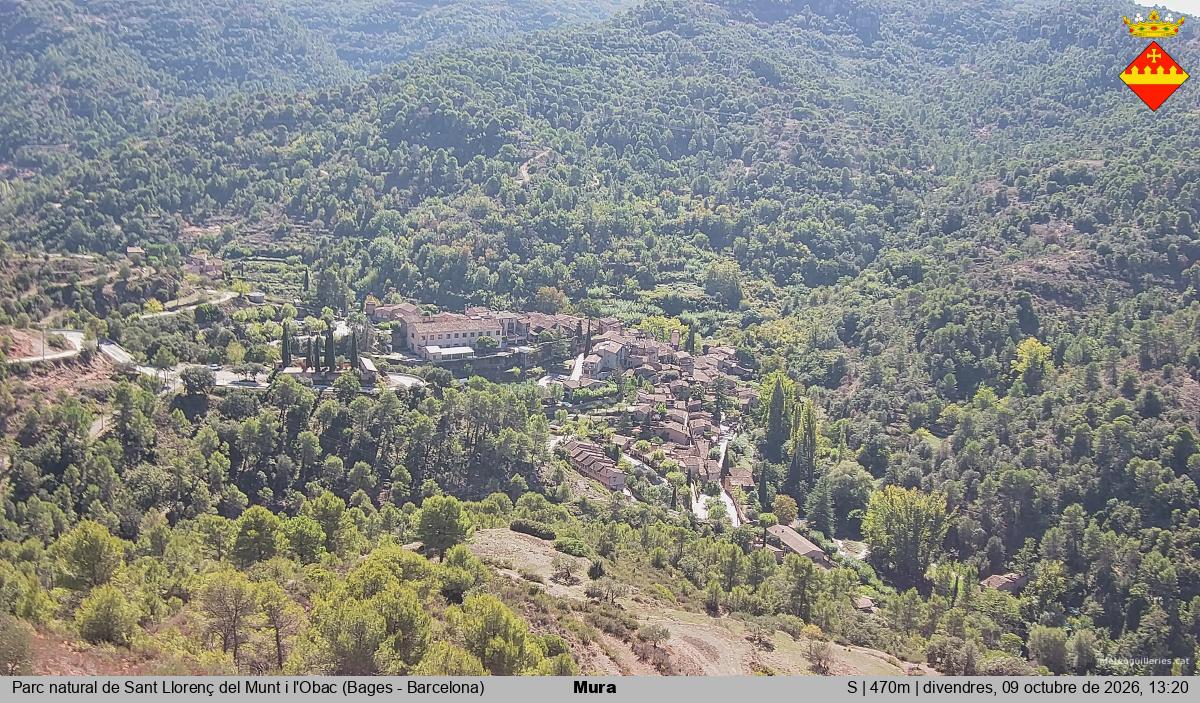 Mura 
