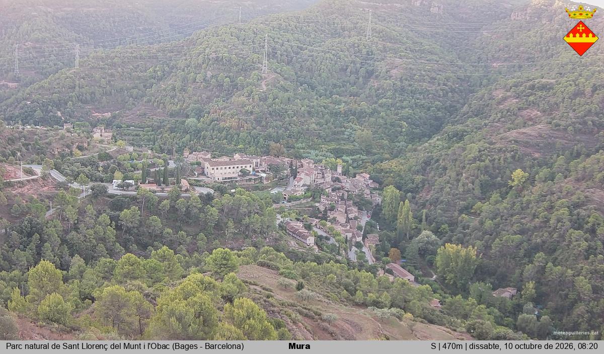 Mura 
