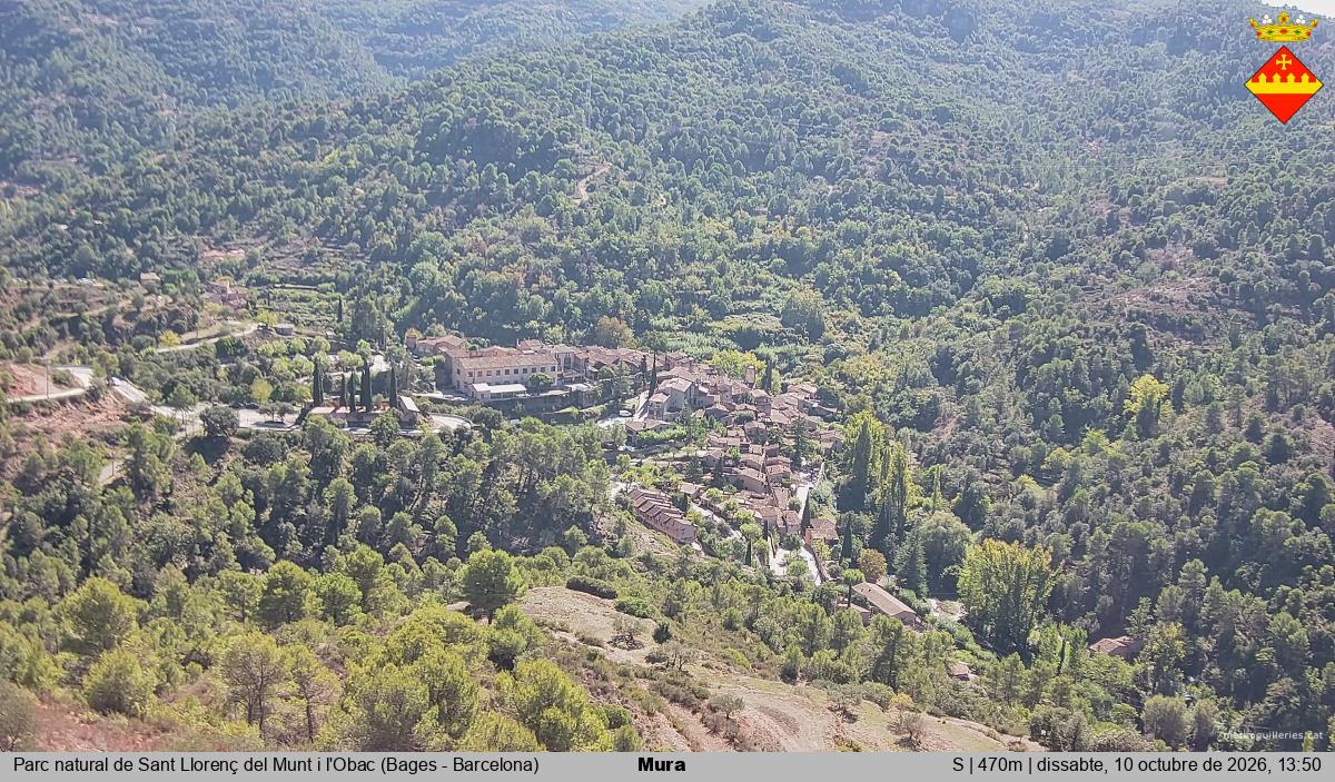 Mura 