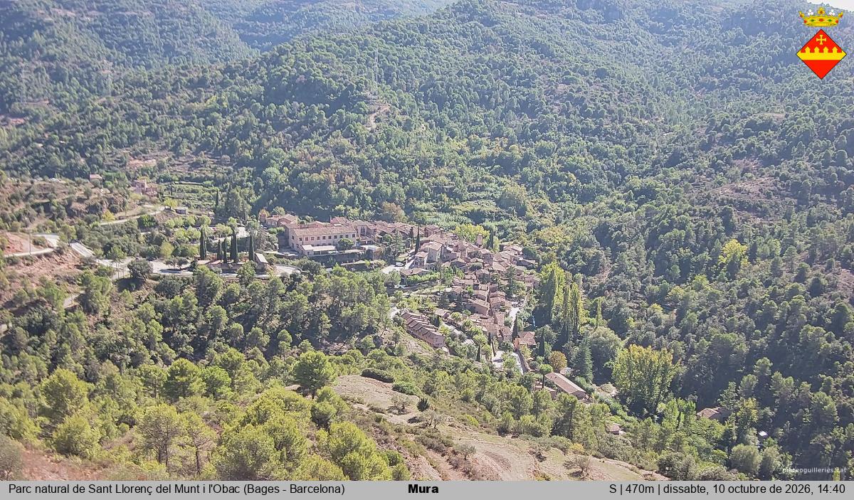 Mura 