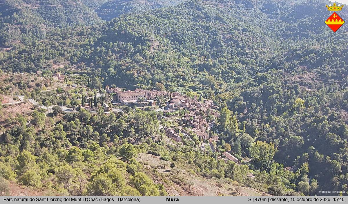 Mura 