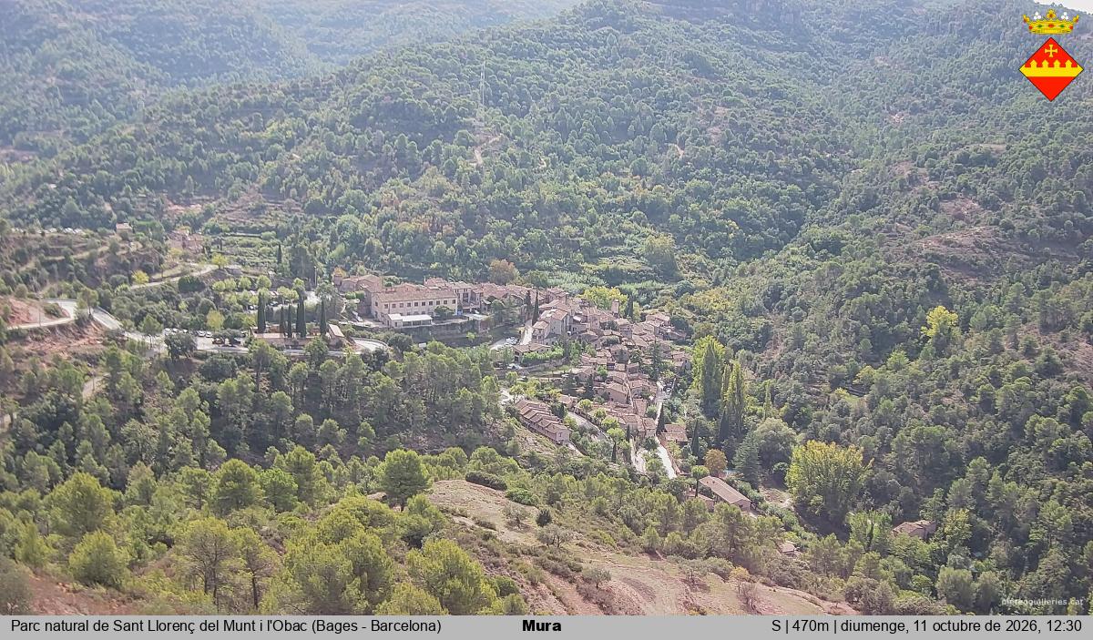 Mura 