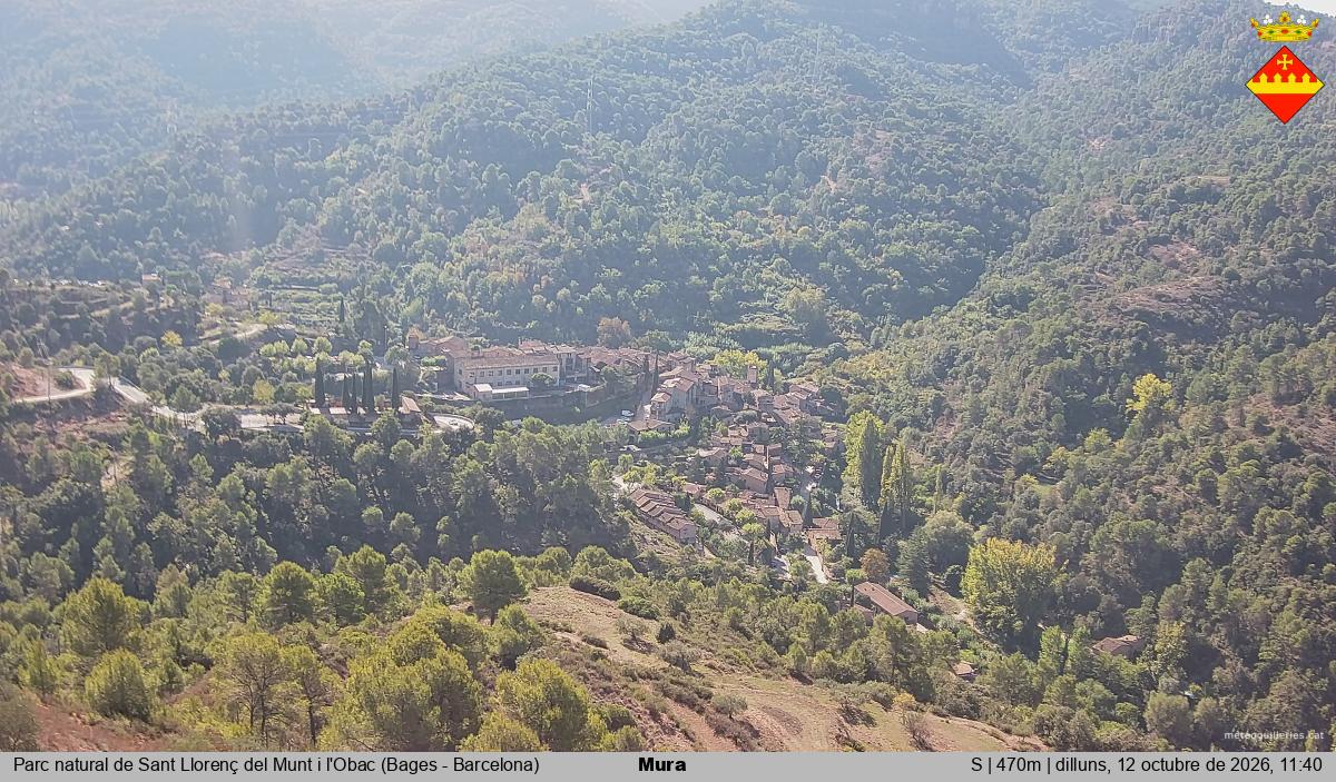 Mura 