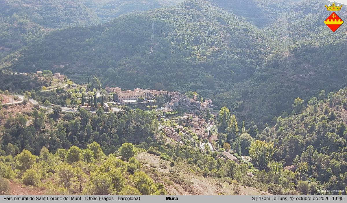 Mura 
