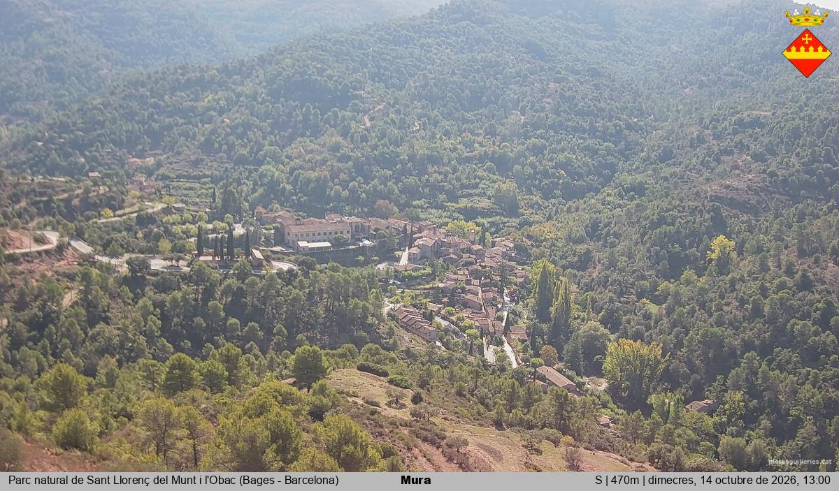 Mura 