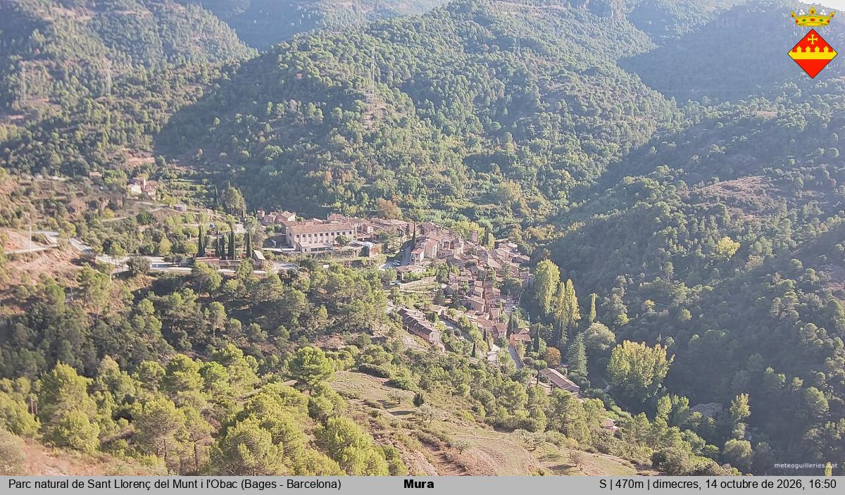 Mura 