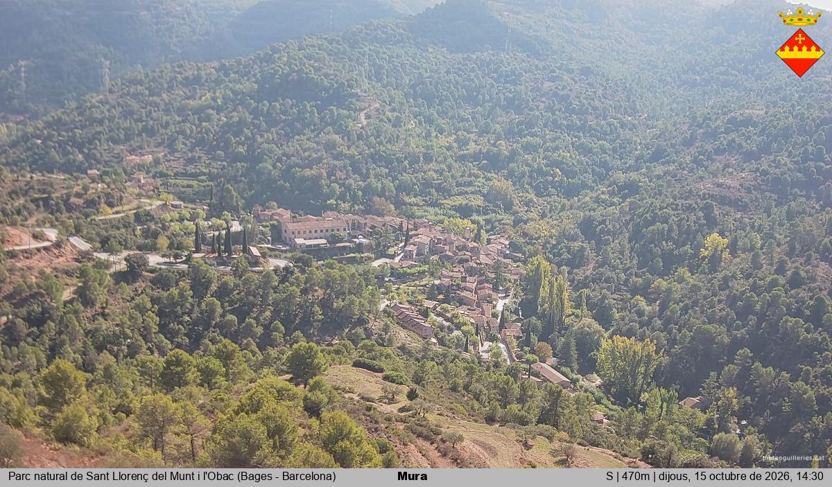 Mura 