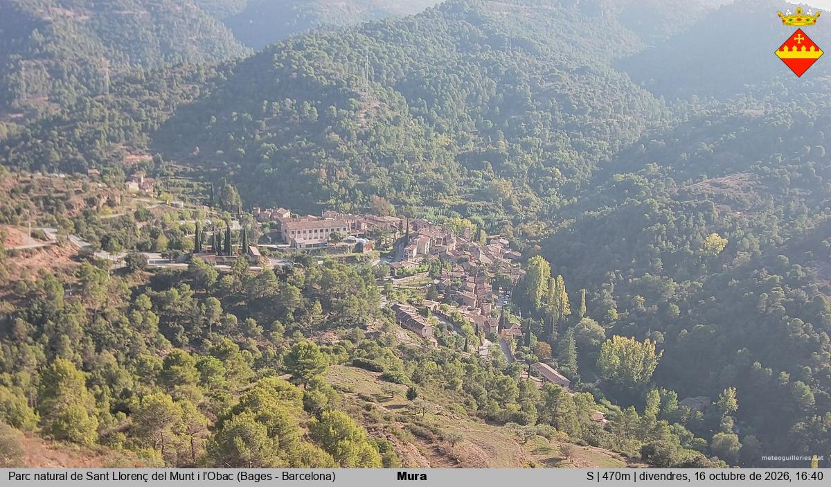 Mura 